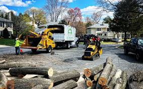 Best Tree Trimming and Pruning  in San Castle, FL